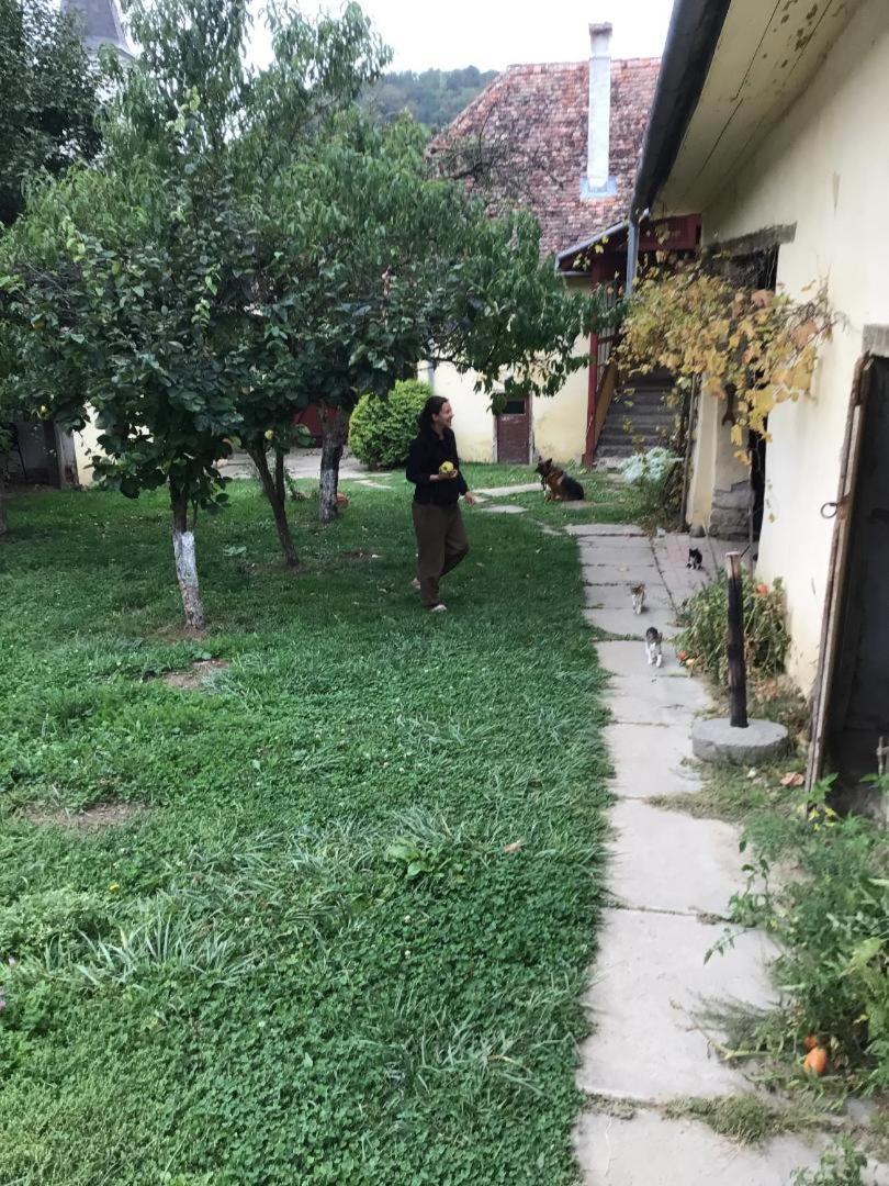 Casa Arthur Richis Richisu Ngoại thất bức ảnh