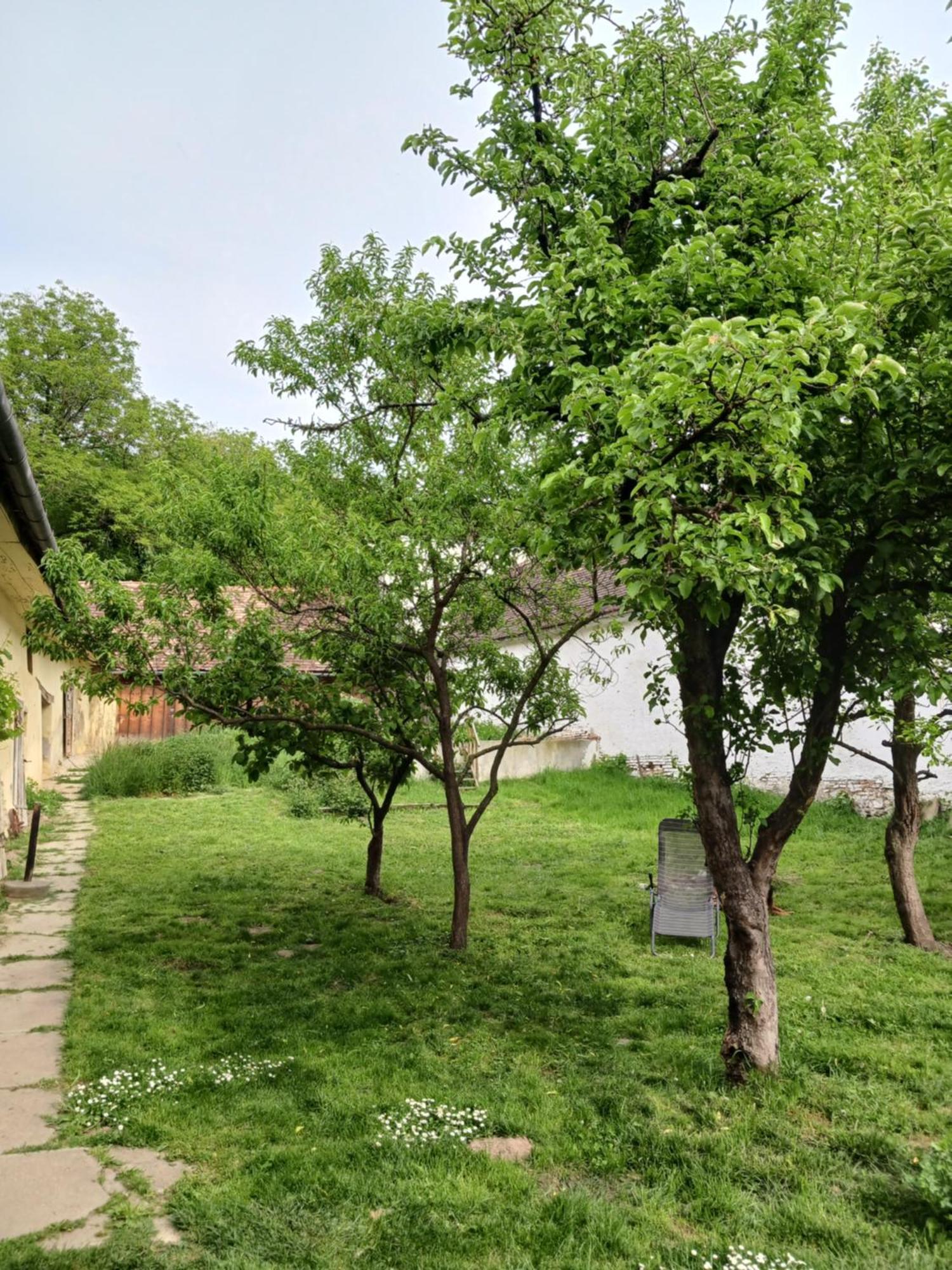 Casa Arthur Richis Richisu Ngoại thất bức ảnh